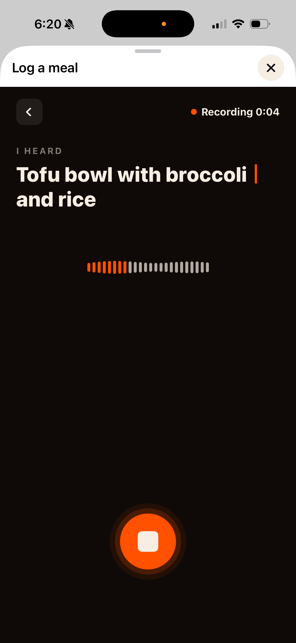 TrakMac transcribing 'Tofu bowl with broccoli and rice'
